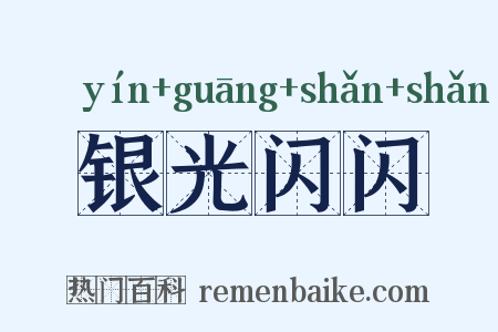 银光闪闪是什么意思的图片